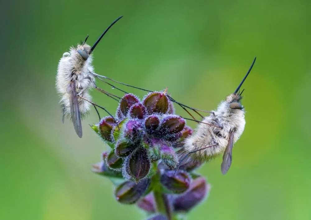 Marco Maaß PflegeHilfePlus Franken